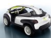 Citroen Lacoste _1