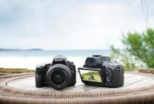 Sony Alpha SLT-A33 і SLT-A55