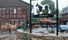 Коні затоптали дітей у Німеччині