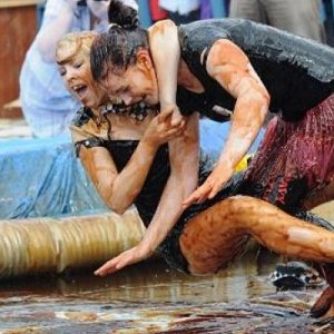 Чемпіонат з боротьби у м'ясній підливі у Британії