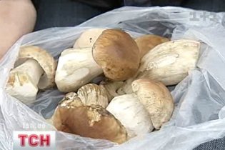 [фото] В Україні розпочався грибний сезон