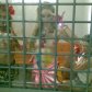 Жіночий рух FEMEN на день незалежності_6