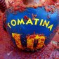 Фестиваль "Томатіна-2010"_3