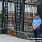 Акція під посольством РФ_3
