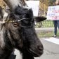 Акція протесту "Хто керує МОНом?"_2