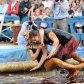 чемпіонат світу у мясній підливі_7