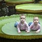 2 вересня у фотографіях_13