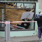 Наслідки землетрусу у Новій Зеландії_19