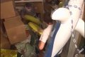 Хованки. Випуск 16