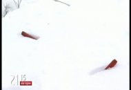 Дивіться 7 лютого