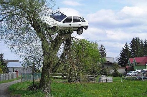авто