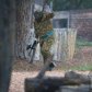Пентбольні бої_10
