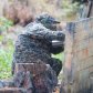 Пентбольні бої_25