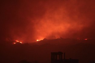 Пожар выгнал со свалки под Москвой полчища тараканов