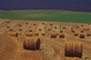 Латвійські селяни готові поділитися з росіянами сіном