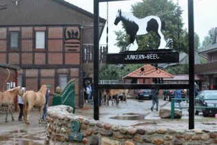 В Германии во время прогулки кони затоптали 44 детей