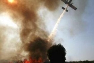 Через пожежі у Афінах оголошено надзвичайний стан