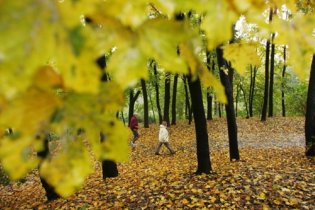 Погода в Україні на неділю, 12 вересня