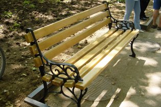 Одинокий китаєць зґвалтував лавку і ледь не позбувся пеніса