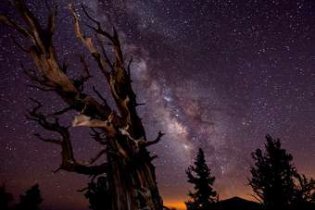 Зображення Чумацького шляху визнано кращою астрономічною фотографією