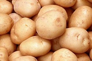 В Україні стрімко дешевшає картопля